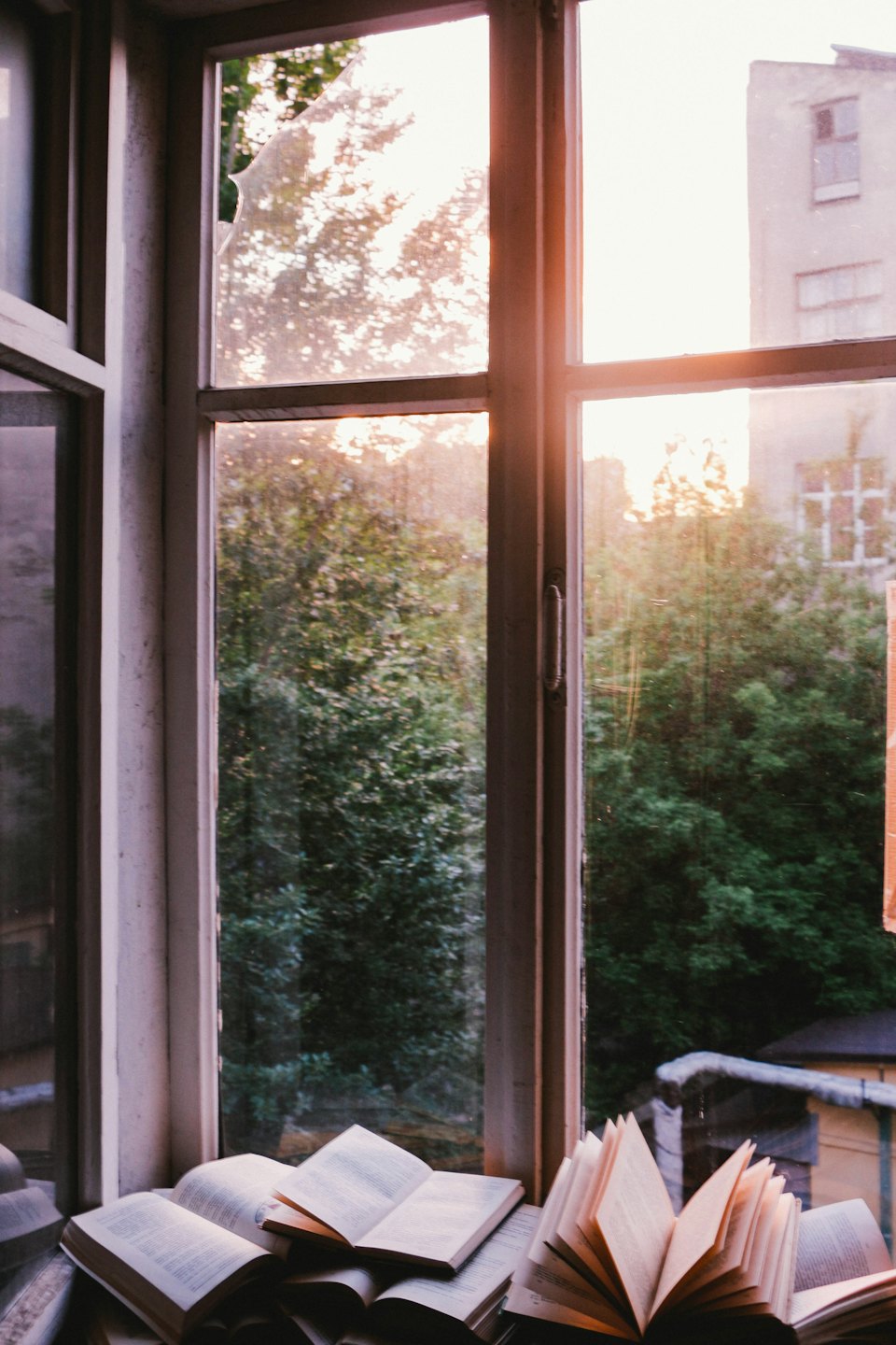 Offene Bücher auf einem Fensterbrett im warmen Sonnenlicht.