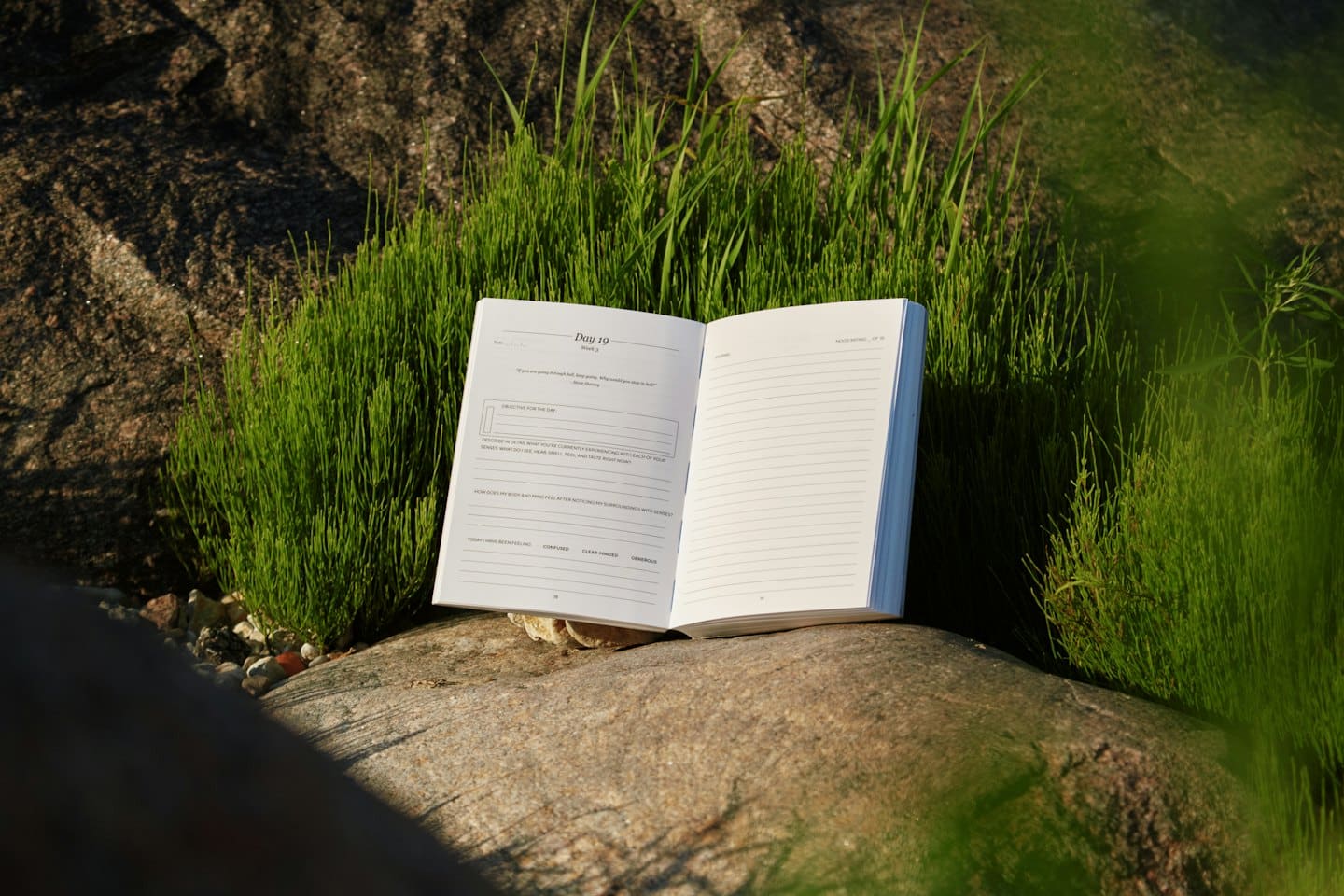 Offenes Notizbuch auf einem grauen Stein mit grünem Gras.